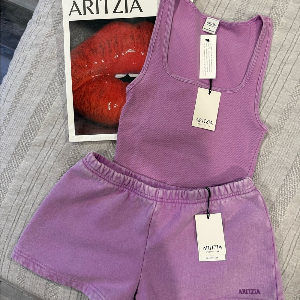 Aritzia Sun-faded Icepop Purple Set